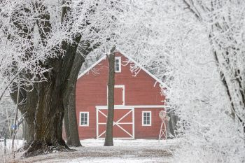 Frost and barn in rural Minnehaha County.