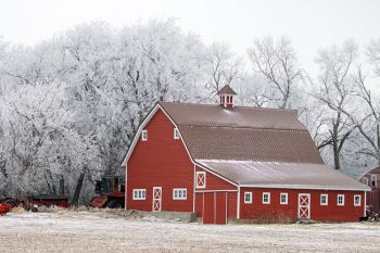 Moody County barn framed by frost.