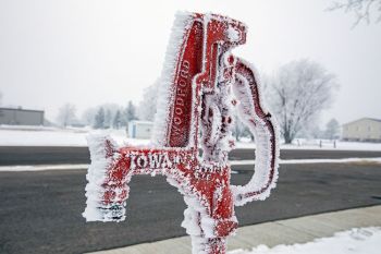 Rime ice on water hydrant in Arlington.