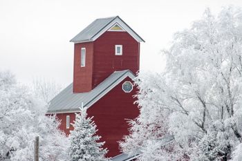 Frost with a red farm building in rural Faulk County.