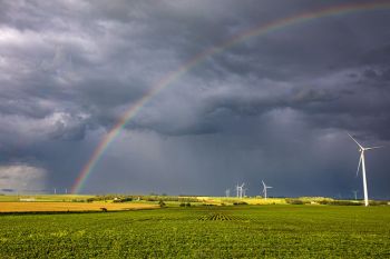 Rainbow and windmills, Brookings County.