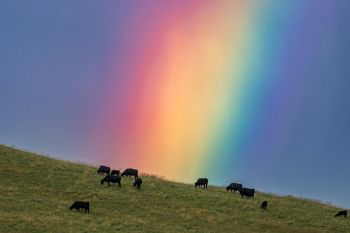 A telephoto lens dramatically magnifies the size of the rainbow arc.