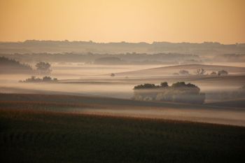 Early morning fog near Baltic.