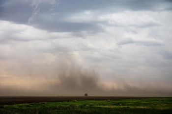 Strong winds raising farm soil high in the air in Douglas County.