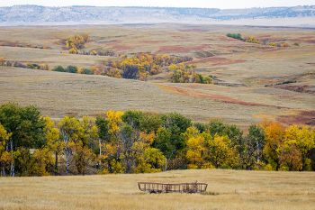 Draws filled with autumn color in southern Harding County.